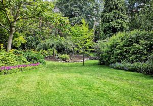 Optimiser l'expérience du jardin à Condecourt